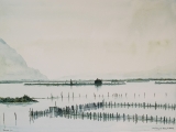 Early morning, the wetlands nr. Mesalonghi 39x27